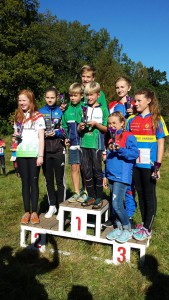 Segrare i Hofs cup