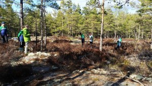 Kolmarden terrangbild